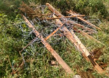 VANDALISMO – TERRENO É INVADIDO E DANIFICADO NO CENTRO DE NOVA ROMA DO SUL