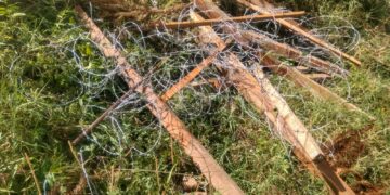 VANDALISMO – TERRENO É INVADIDO E DANIFICADO NO CENTRO DE NOVA ROMA DO SUL