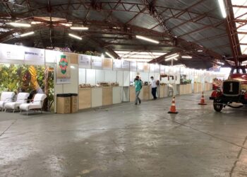 Pavilhão da Agricultura Familiar na Festa da Uva conta com 40 empreendimentos