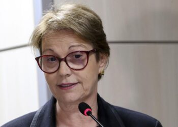 Brasil tem fertilizantes até outubro, garante ministra da Agricultura