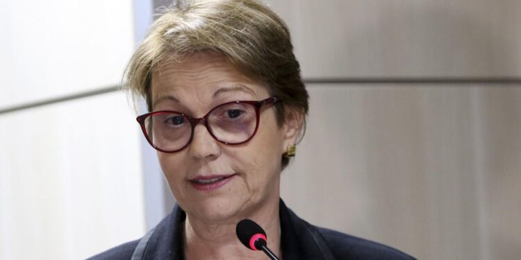 Brasil tem fertilizantes até outubro, garante ministra da Agricultura