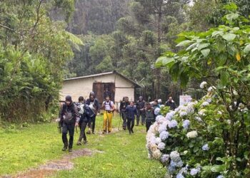 Coach que colocou em perigo 32 pessoas no Pico dos Marins/SP afirma que ‘quem não quer correr risco fica em casa vendo stories’