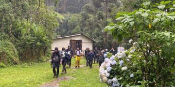 Coach que colocou em perigo 32 pessoas no Pico dos Marins/SP afirma que ‘quem não quer correr risco fica em casa vendo stories’