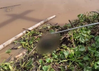 Trabalhadores encontram corpo durante serviço de manutenção em usina de SC