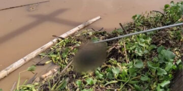 Trabalhadores encontram corpo durante serviço de manutenção em usina de SC