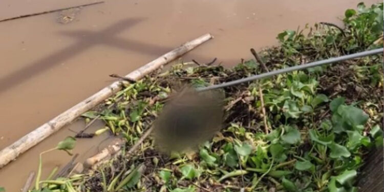 Trabalhadores encontram corpo durante serviço de manutenção em usina de SC