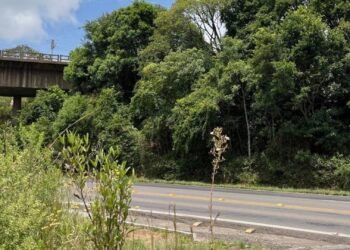 EGR inicia alça que ligará ERS 122 com a RSC 453 na Serra Gaúcha