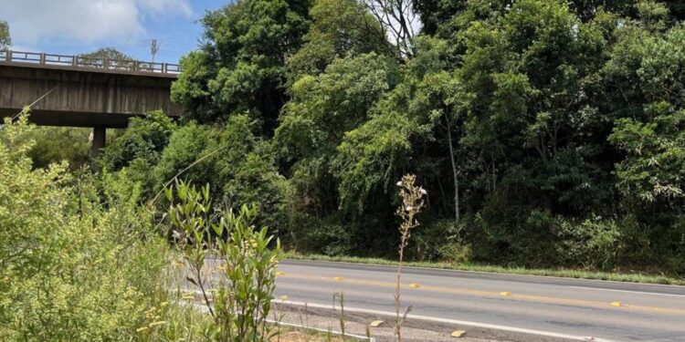 EGR inicia alça que ligará ERS 122 com a RSC 453 na Serra Gaúcha