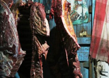 Seis pessoas são presas por envolvimento em venda de carne de cavalo para hamburguerias em Caxias do Sul