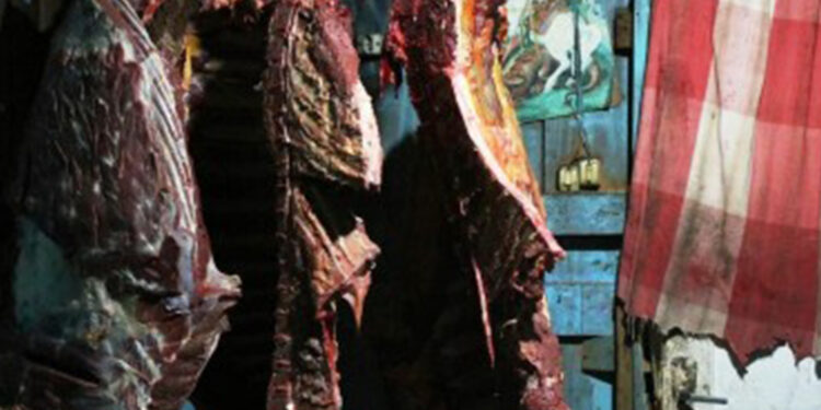 Seis pessoas são presas por envolvimento em venda de carne de cavalo para hamburguerias em Caxias do Sul