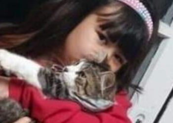 Menina de sete anos morre ao ser atropelada na BR-116, em Caxias do Sul