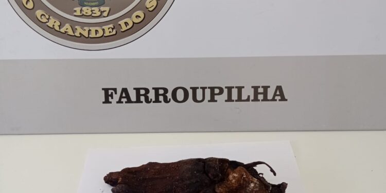 PÉ HUMANO DECOMPOSTO É ENCONTRADO EM UM CONTAINER DE LIXO EM FARROUPILHA