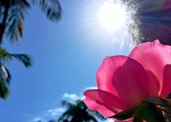 Domingo de sol, calor e chuva isolada no RS