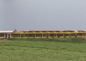 Temporal causam estragos em ao menos quatro municípios no noroeste gaúcho