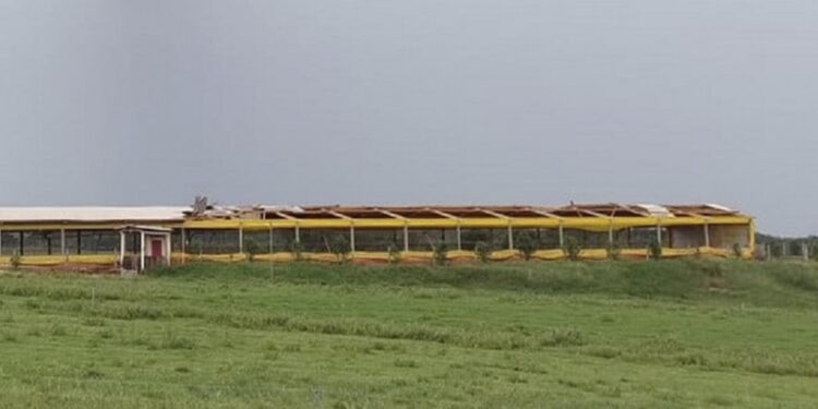 Temporal causam estragos em ao menos quatro municípios no noroeste gaúcho