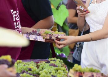 11 MIL QUILOS DE UVA FORAM DISTRIBUÍDOS NO PRIMEIRO FINAL DE SEMANA DE FESTA DA UVA