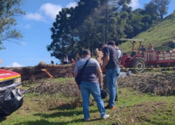 Homem morre durante corte de árvore em Carlos Barbosa