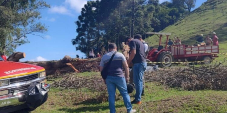 Homem morre durante corte de árvore em Carlos Barbosa