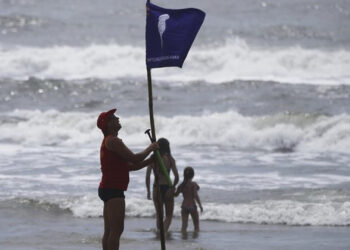 Calor, praia e água viva: Bombeiros registram quase 400 casos de queimaduras por águas-vivas no RS