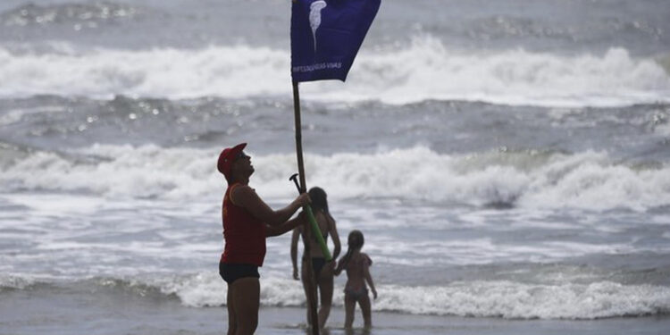 Calor, praia e água viva: Bombeiros registram quase 400 casos de queimaduras por águas-vivas no RS