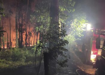 Grande incêndio atingiu matagal na Capela Pompéia, em Ipê