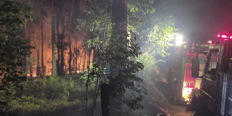 Grande incêndio atingiu matagal na Capela Pompéia, em Ipê