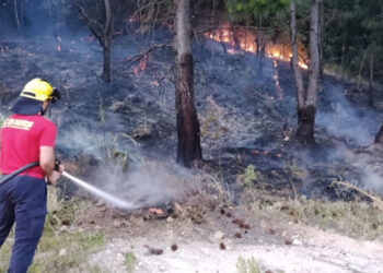 Incêndio de grandes proporções atinge a vegetação no bairro São Francisco, em Farroupilha