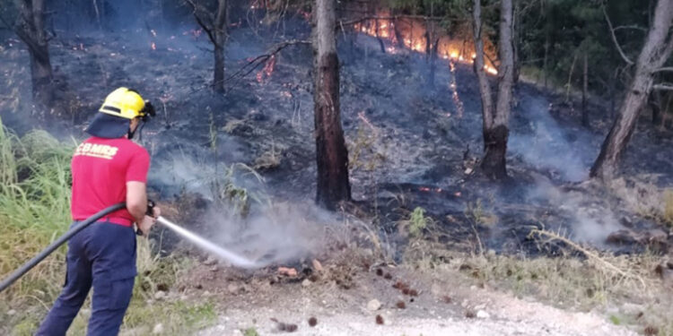 Incêndio de grandes proporções atinge a vegetação no bairro São Francisco, em Farroupilha