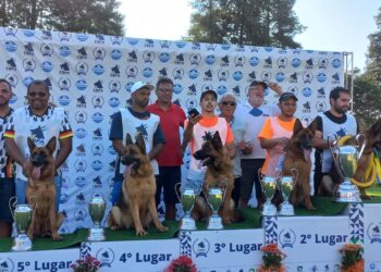 Cadela de Nova Roma do Sul ganha o mais alto nível de competição