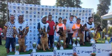 Cadela de Nova Roma do Sul ganha o mais alto nível de competição