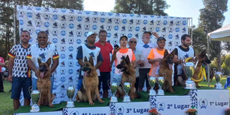 Cadela de Nova Roma do Sul ganha o mais alto nível de competição