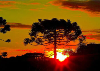 Até quando irá a forte onda de calor no Rio Grande do Sul?
