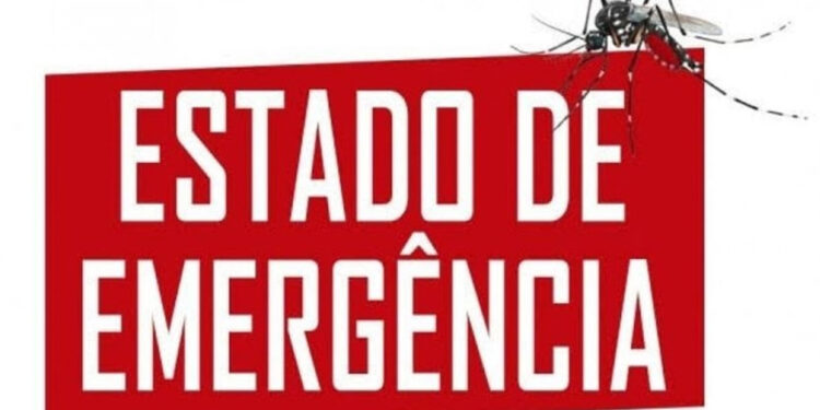 Rodeio Bonito decreta estado de emergência após confirmar mais de 500 casos de dengue
