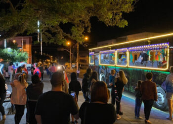 Dindinho Solidário desfilou nas ruas de Antônio Prado nesse final de semana