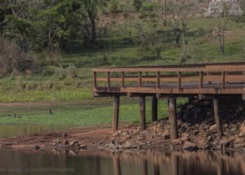 Governador e secretários definem ações de combate à estiagem no RS