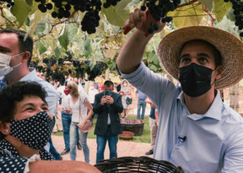 Governador Eduardo Leite visita obra rodoviária e acompanha a vindima na Serra