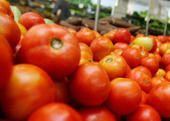 Inflação oficial avança 0,54% em janeiro e registra maior alta para o mês em seis anos, diz IBGE