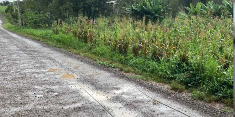Queda de fios de alta tensão interdita parcialmente a estrada da Linha Trajano que liga a comunidade de São Pedro