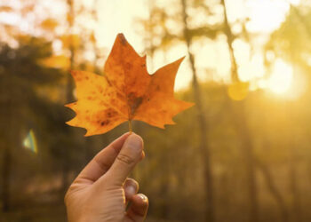 Sol predomina nesta segunda-feira no RS