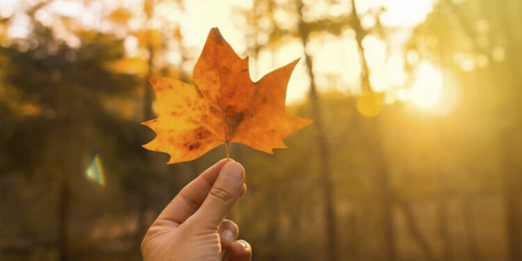 Sol predomina nesta segunda-feira no RS