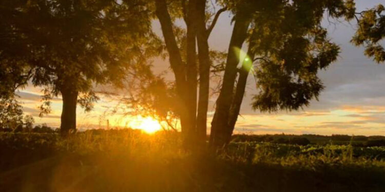 Sol predomina nesta sexta-feira, mas frente fria se aproxima do RS