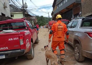 Cães e bombeiros gaúchos já atuam na busca de vítimas da tragédia em Petrópolis