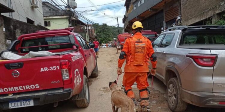 Cães e bombeiros gaúchos já atuam na busca de vítimas da tragédia em Petrópolis