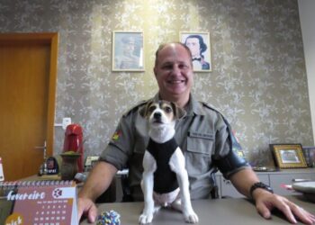 Cão “Recruta” o novo mascote do 36º BPM ganha perfil no instagram