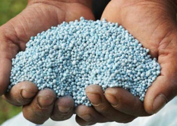 Preços dos adubos sobem até 53% no Brasil desde o início da guerra na Ucrânia