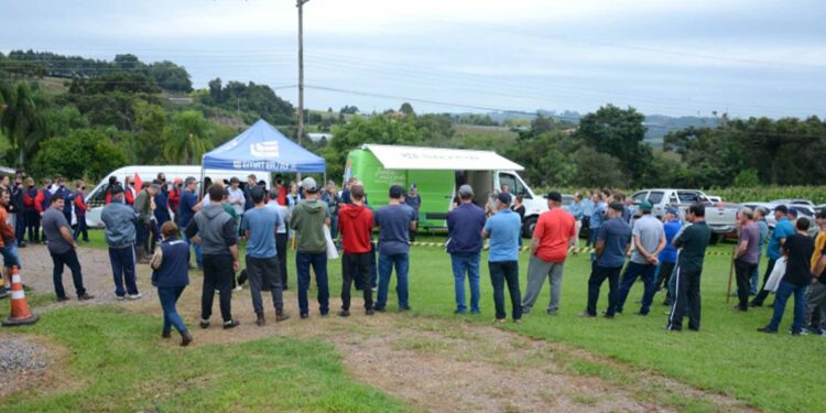 Tarde de Campo reúne agricultores e alunos em Nova Pádua