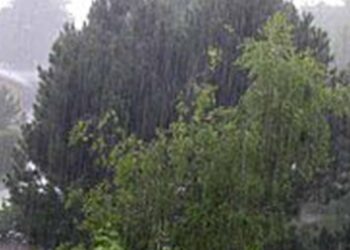 Segunda-feira segue com chuva em diversas regiões do RS