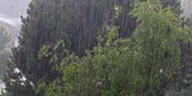 Segunda-feira segue com chuva em diversas regiões do RS