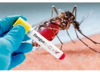 Secretaria de Saúde de Antônio Prado faz alerta sobre o aumento de casos de dengue no Estado