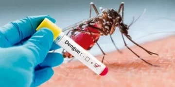 Secretaria de Saúde de Antônio Prado faz alerta sobre o aumento de casos de dengue no Estado